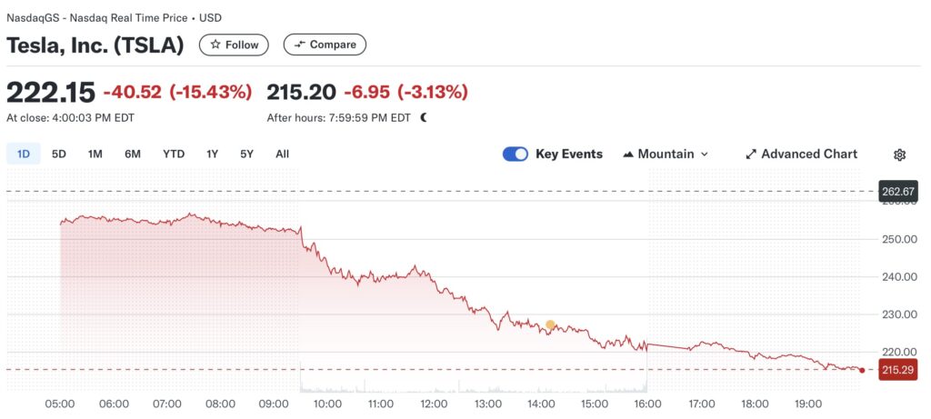 TSLA stock on 3/10/25